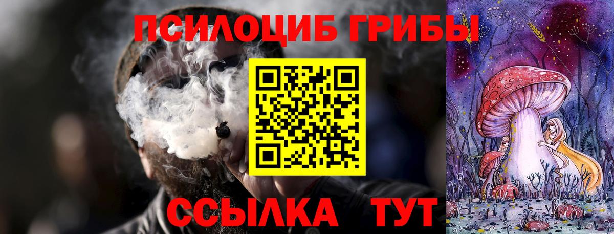 Павлово  Галлюциногенные грибы прущие грибы  Галлюциногенные грибы мухоморы  Вход с VPN 